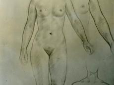 <a href="http://wolfgang-willrich.de/page/werkverzeichnis/nach-motiven/aktzeichnungen/Aktstudien_7.php" target="_self">Weitere Informationen - bitte hier klicken
</a>