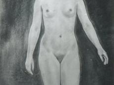 <a href="http://wolfgang-willrich.de/page/werkverzeichnis/nach-motiven/aktzeichnungen/Aktt.php" target="_self">Weitere Informationen - bitte hier klicken
</a>