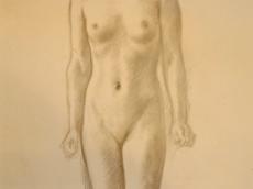 <a href="http://wolfgang-willrich.de/page/werkverzeichnis/nach-motiven/aktzeichnungen/Bruenhild.php" target="_self">Weitere Informationen - bitte hier klicken
</a>