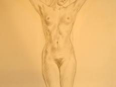 <a href="http://wolfgang-willrich.de/page/werkverzeichnis/nach-motiven/aktzeichnungen/Germanische_Seele.php" target="_self">Weitere Informationen - bitte hier klicken
</a>