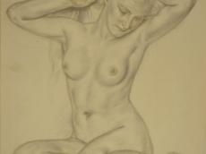 <a href="http://wolfgang-willrich.de/page/werkverzeichnis/nach-motiven/aktzeichnungen/Haare_Ortnende.php" target="_self">Weitere Informationen - bitte hier klicken
</a>