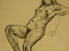 <a href="http://wolfgang-willrich.de/page/werkverzeichnis/nach-motiven/aktzeichnungen/Kf.php" target="_self">Weitere Informationen - bitte hier klicken
</a>