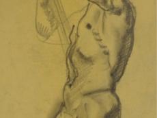 <a href="http://wolfgang-willrich.de/page/werkverzeichnis/nach-motiven/aktzeichnungen/Kraftt.php" target="_self">Weitere Informationen - bitte hier klicken
</a>