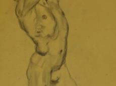 <a href="http://wolfgang-willrich.de/page/werkverzeichnis/nach-motiven/aktzeichnungen/Kraftv.php" target="_self">Weitere Informationen - bitte hier klicken
</a>