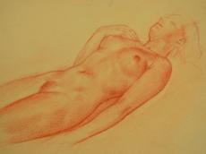 <a href="http://wolfgang-willrich.de/page/werkverzeichnis/nach-motiven/aktzeichnungen/Liegende_in_Blei.php" target="_self">Weitere Informationen - bitte hier klicken
</a>
