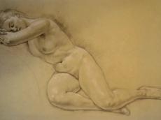 <a href="http://wolfgang-willrich.de/page/werkverzeichnis/nach-motiven/aktzeichnungen/Schlummernde.php" target="_self">Weitere Informationen - bitte hier klicken
</a>