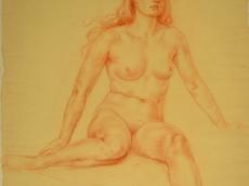 <a href="http://wolfgang-willrich.de/page/werkverzeichnis/nach-motiven/aktzeichnungen/Sitzende_Blo.php" target="_self">Weitere Informationen - bitte hier klicken
</a>