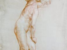 <a href="http://wolfgang-willrich.de/page/werkverzeichnis/nach-motiven/aktzeichnungen/Weibliches_Muskelspiel.php" target="_self">Weitere Informationen - bitte hier klicken
</a>