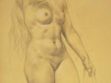 <a href="http://wolfgang-willrich.de/page/werkverzeichnis/nach-motiven/aktzeichnungen/Weibm.php" target="_self">Weitere Informationen - bitte hier klicken
</a>