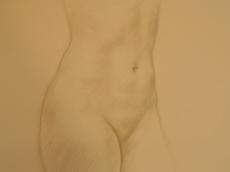 <a href="http://wolfgang-willrich.de/page/werkverzeichnis/nach-motiven/aktzeichnungen/Zarter_Torso.php" target="_self">Weitere Informationen - bitte hier klicken
</a>