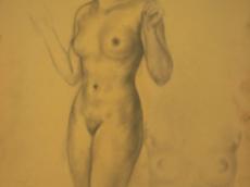 <a href="http://wolfgang-willrich.de/page/werkverzeichnis/nach-motiven/aktzeichnungen/Zarth.php" target="_self">Weitere Informationen - bitte hier klicken
</a>