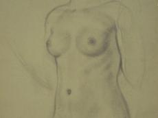 <a href="http://wolfgang-willrich.de/page/werkverzeichnis/nach-motiven/aktzeichnungen/Zarti.php" target="_self">Weitere Informationen - bitte hier klicken
</a>