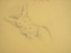 <a href="http://wolfgang-willrich.de/page/werkverzeichnis/nach-motiven/aktzeichnungen/Zartj.php" target="_self">Weitere Informationen - bitte hier klicken
</a>