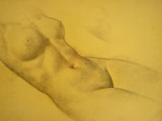 <a href="http://wolfgang-willrich.de/page/werkverzeichnis/nach-motiven/aktzeichnungen/Zartk.php" target="_self">Weitere Informationen - bitte hier klicken
</a>