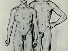 <a href="http://wolfgang-willrich.de/page/werkverzeichnis/nach-motiven/aktzeichnungen/Zwei_junge_Maenner.php" target="_self">Weitere Informationen - bitte hier klicken
</a>