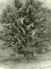 <a href="http://wolfgang-willrich.de/page/werkverzeichnis/nach-motiven/natur-und- landschaft/Baum.php" target="_self">Weitere Informationen - bitte hier klicken
</a>