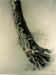 <a href="http://wolfgang-willrich.de/page/werkverzeichnis/nach-motiven/natur-und- landschaft/Baumstamm_1.php" target="_self">Weitere Informationen - bitte hier klicken
</a>