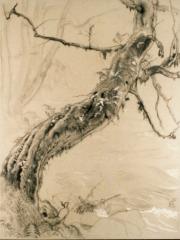 <a href="http://wolfgang-willrich.de/page/werkverzeichnis/nach-motiven/natur-und- landschaft/Baumstamm_2.php" target="_self">Weitere Informationen - bitte hier klicken
</a>