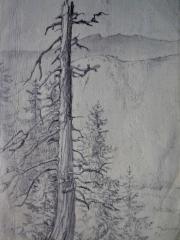 <a href="http://wolfgang-willrich.de/page/werkverzeichnis/nach-motiven/natur-und- landschaft/Baumstamm_3.php" target="_self">Weitere Informationen - bitte hier klicken
</a>