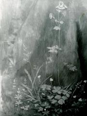 <a href="http://wolfgang-willrich.de/page/werkverzeichnis/nach-motiven/natur-und- landschaft/Blumen.php" target="_self">Weitere Informationen - bitte hier klicken
</a>