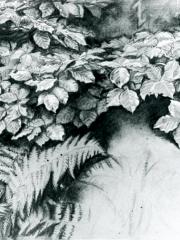 <a href="http://wolfgang-willrich.de/page/werkverzeichnis/nach-motiven/natur-und- landschaft/Buchenblaetter.php" target="_self">Weitere Informationen - bitte hier klicken
</a>