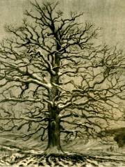 <a href="http://wolfgang-willrich.de/page/werkverzeichnis/nach-motiven/natur-und- landschaft/Eiche.php" target="_self">Weitere Informationen - bitte hier klicken
</a>