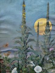 <a href="http://wolfgang-willrich.de/page/werkverzeichnis/nach-motiven/natur-und- landschaft/Koenigskerze.php" target="_self">Weitere Informationen - bitte hier klicken
</a>