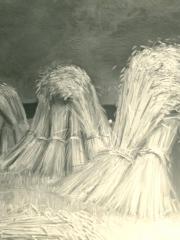 <a href="http://wolfgang-willrich.de/page/werkverzeichnis/nach-motiven/natur-und- landschaft/Kornhocken.php" target="_self">Weitere Informationen - bitte hier klicken
</a>