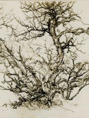 <a href="http://wolfgang-willrich.de/page/werkverzeichnis/nach-motiven/natur-und- landschaft/Lappland_2.php" target="_self">Weitere Informationen - bitte hier klicken
</a>