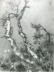 <a href="http://wolfgang-willrich.de/page/werkverzeichnis/nach-motiven/natur-und- landschaft/Lappland_3.php" target="_self">Weitere Informationen - bitte hier klicken
</a>