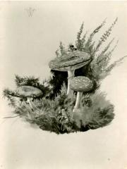 <a href="http://wolfgang-willrich.de/page/werkverzeichnis/nach-motiven/natur-und- landschaft/Pilzgruppe.php" target="_self">Weitere Informationen - bitte hier klicken
</a>