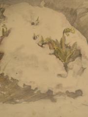 <a href="http://wolfgang-willrich.de/page/werkverzeichnis/nach-motiven/natur-und- landschaft/Schluesselblume.php" target="_self">Weitere Informationen - bitte hier klicken
</a>