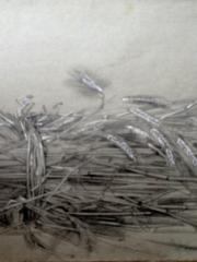 <a href="http://wolfgang-willrich.de/page/werkverzeichnis/nach-motiven/natur-und- landschaft/Strohgebinde.php" target="_self">Weitere Informationen - bitte hier klicken
</a>