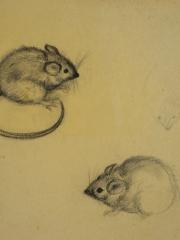 <a href="http://wolfgang-willrich.de/page/werkverzeichnis/nach-motiven/natur-und- landschaft/Tiere_2.php" target="_self">Weitere Informationen - bitte hier klicken
</a>