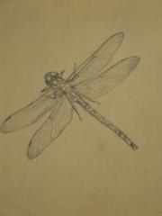 <a href="http://wolfgang-willrich.de/page/werkverzeichnis/nach-motiven/natur-und- landschaft/Tiere_3.php" target="_self">Weitere Informationen - bitte hier klicken
</a>