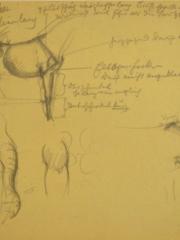 <a href="http://wolfgang-willrich.de/page/werkverzeichnis/nach-motiven/natur-und- landschaft/Tiere_7.php" target="_self">Weitere Informationen - bitte hier klicken
</a>