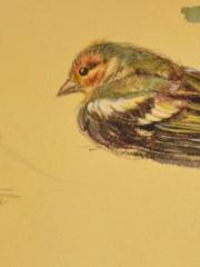 <a href="http://wolfgang-willrich.de/page/werkverzeichnis/nach-motiven/natur-und- landschaft/Tiere_9d.php" target="_self">Weitere Informationen - bitte hier klicken
</a>