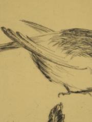 <a href="http://wolfgang-willrich.de/page/werkverzeichnis/nach-motiven/natur-und- landschaft/Tiere_9e.php" target="_self">Weitere Informationen - bitte hier klicken
</a>