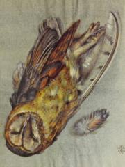 <a href="http://wolfgang-willrich.de/page/werkverzeichnis/nach-motiven/natur-und- landschaft/Tiere_9f.php" target="_self">Weitere Informationen - bitte hier klicken
</a>