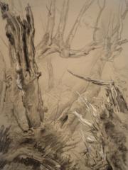 <a href="http://wolfgang-willrich.de/page/werkverzeichnis/nach-motiven/natur-und- landschaft/Urwald.php" target="_self">Weitere Informationen - bitte hier klicken
</a>