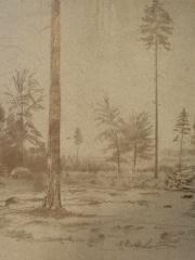 <a href="http://wolfgang-willrich.de/page/werkverzeichnis/nach-motiven/natur-und- landschaft/Waldrand.php" target="_self">Weitere Informationen - bitte hier klicken
</a>