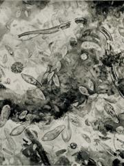 <a href="http://wolfgang-willrich.de/page/werkverzeichnis/nach-motiven/natur-und- landschaft/Wassertropfen.php" target="_self">Weitere Informationen - bitte hier klicken
</a>