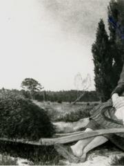 <a href="http://wolfgang-willrich.de/page/werkverzeichnis/nach-motiven/personen-und-gruppen/Heide.php" target="_self">Weitere Informationen - bitte hier klicken
</a>